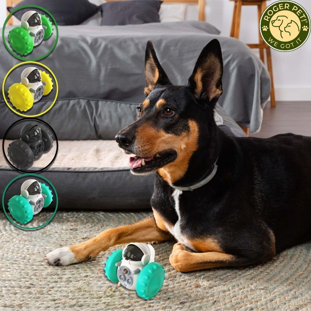 SmartTreat Dog Slow Feeder Toy