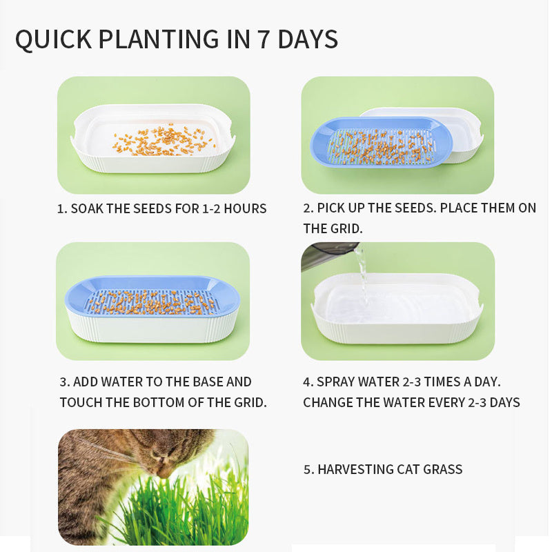 PurrGrow Hydroponic Cat Grass Box