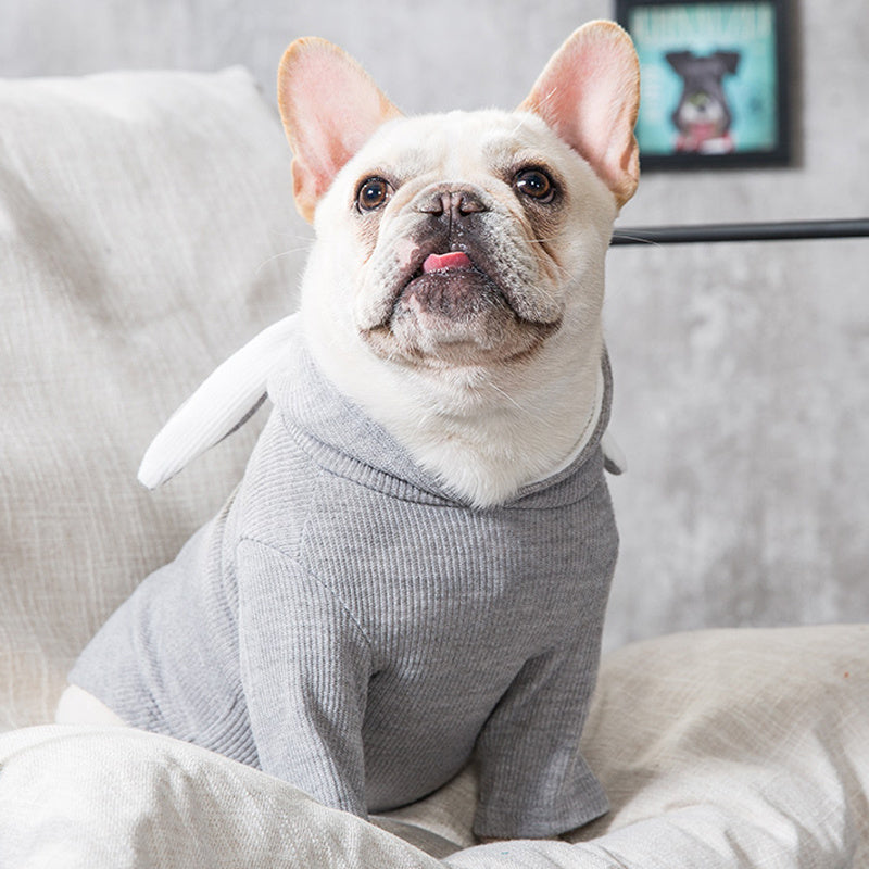 PawsCozy Dog Spring-Autumn Clothing