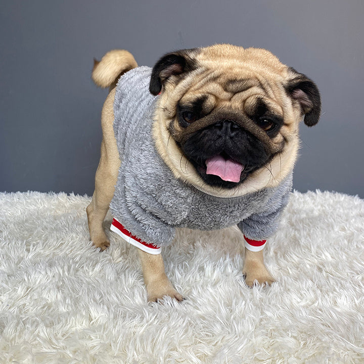 PawCozy Pet Sweater