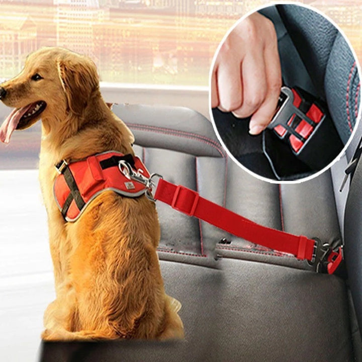 PetSafe Adjustable Car Harness