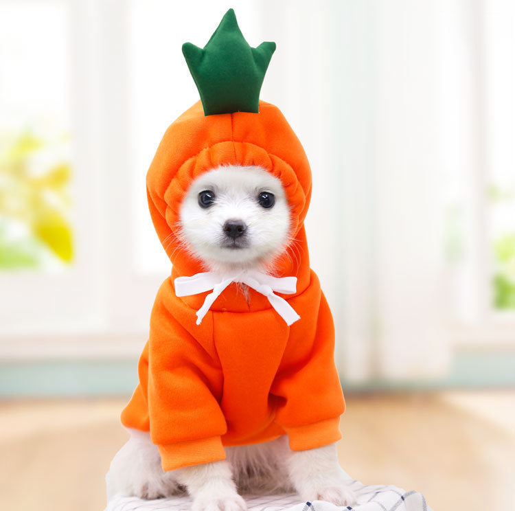 FruitFuzz Cute Dog Hoodies