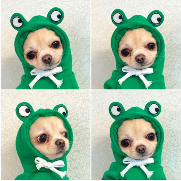 FruitFuzz Cute Dog Hoodies