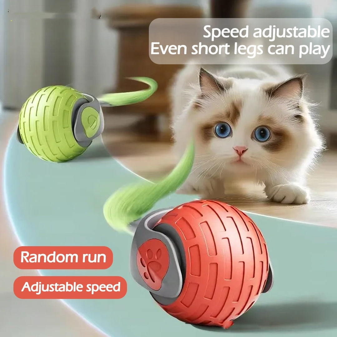 PlayBall Interactive Cat Toy