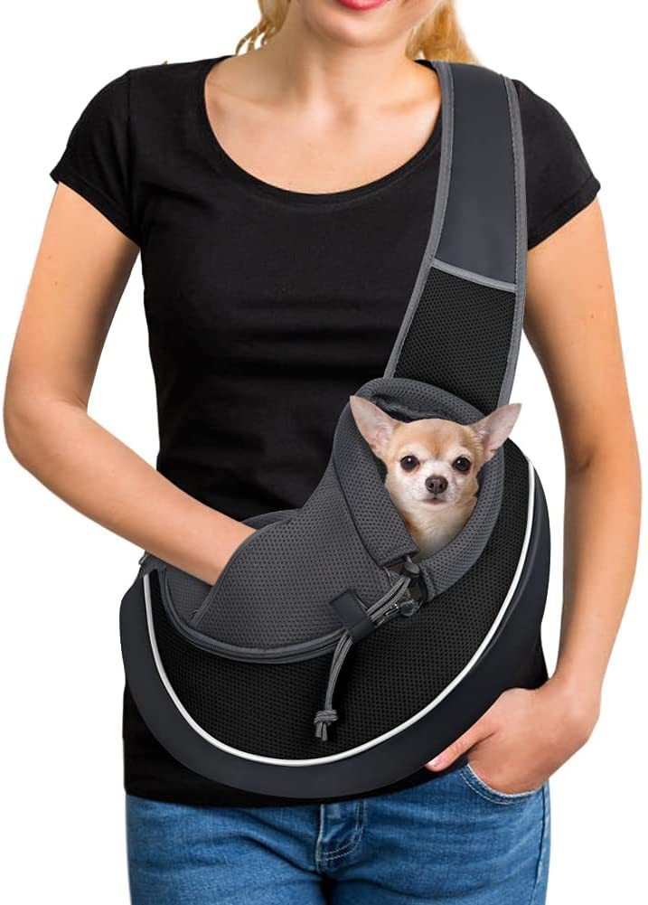 PawsEase Breathable Pet Carrier Bag