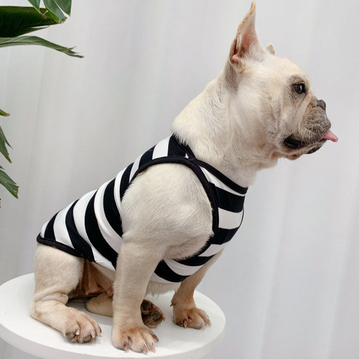 CoolPaws Fashionable Dog Summer Clothes