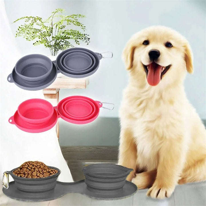 FoldBowl Rubber Pet Bowl