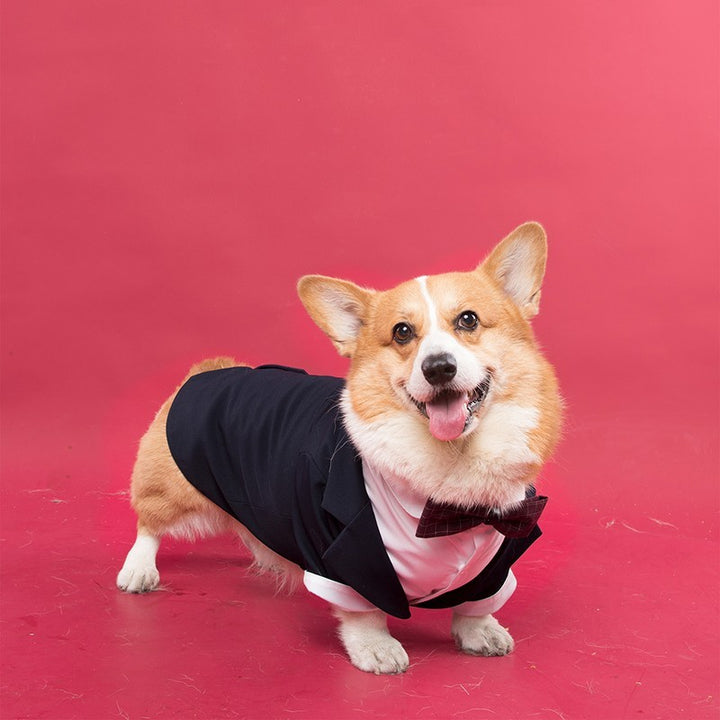 SwallowPaw Dog Dress Shirt