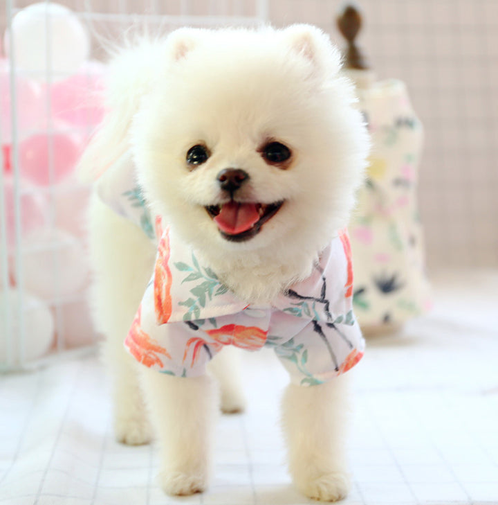 PawCute Small Dog Summer Shirt