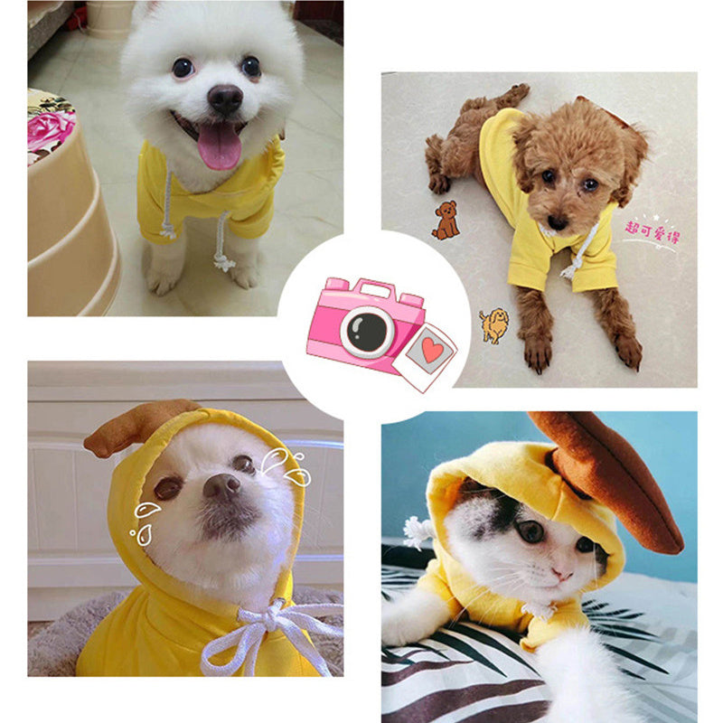 FruitFuzz Cute Dog Hoodies