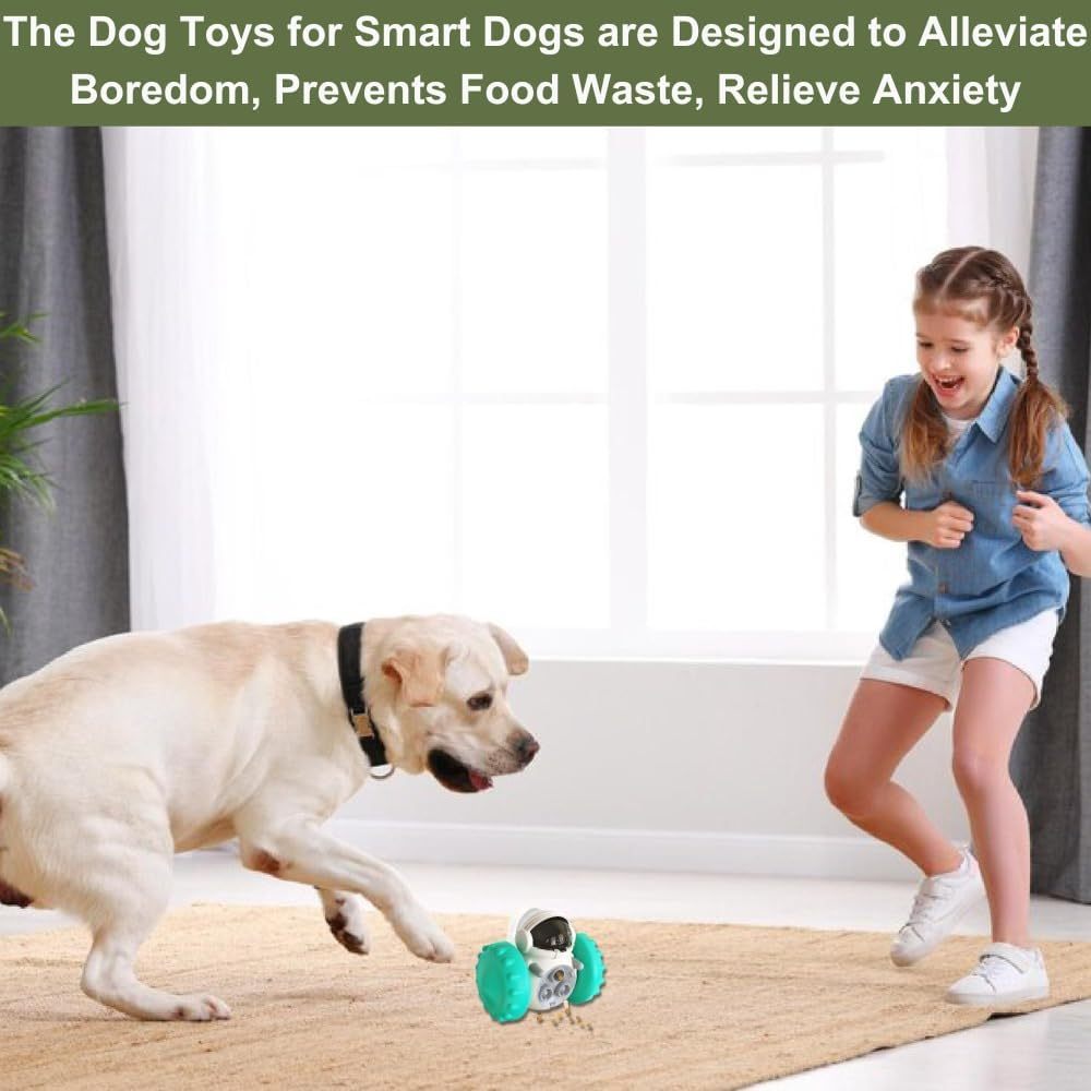 SmartTreat Dog Slow Feeder Toy