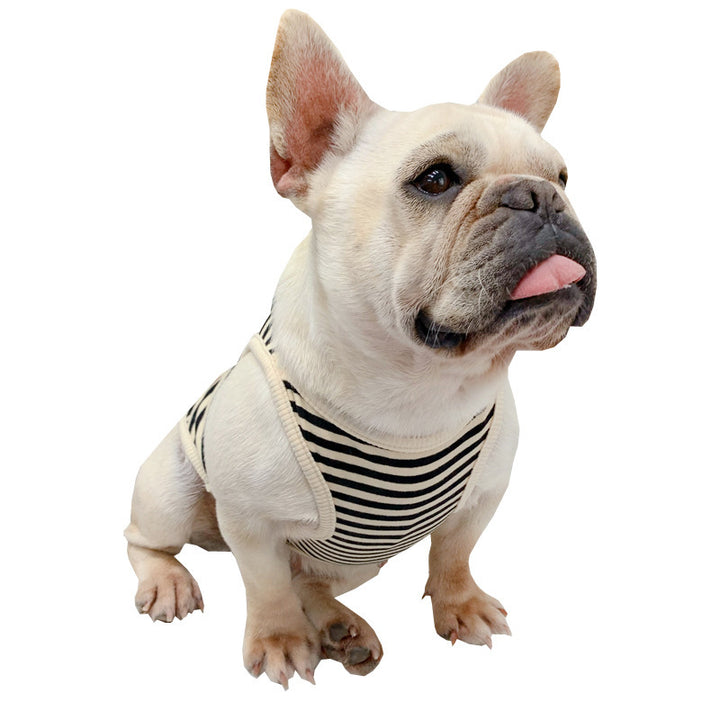 CoolPaws Fashionable Dog Summer Clothes