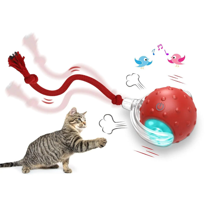 PurrRoll Interactive Cat Toy Ball